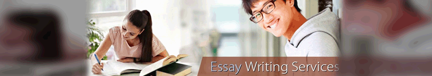 High Standard Essay Writing Services